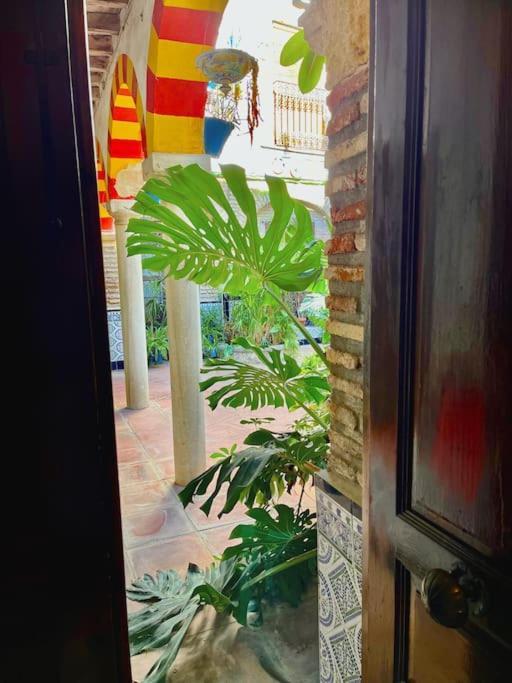 Apartamento Patio De La Corredera Córdoba Exterior foto